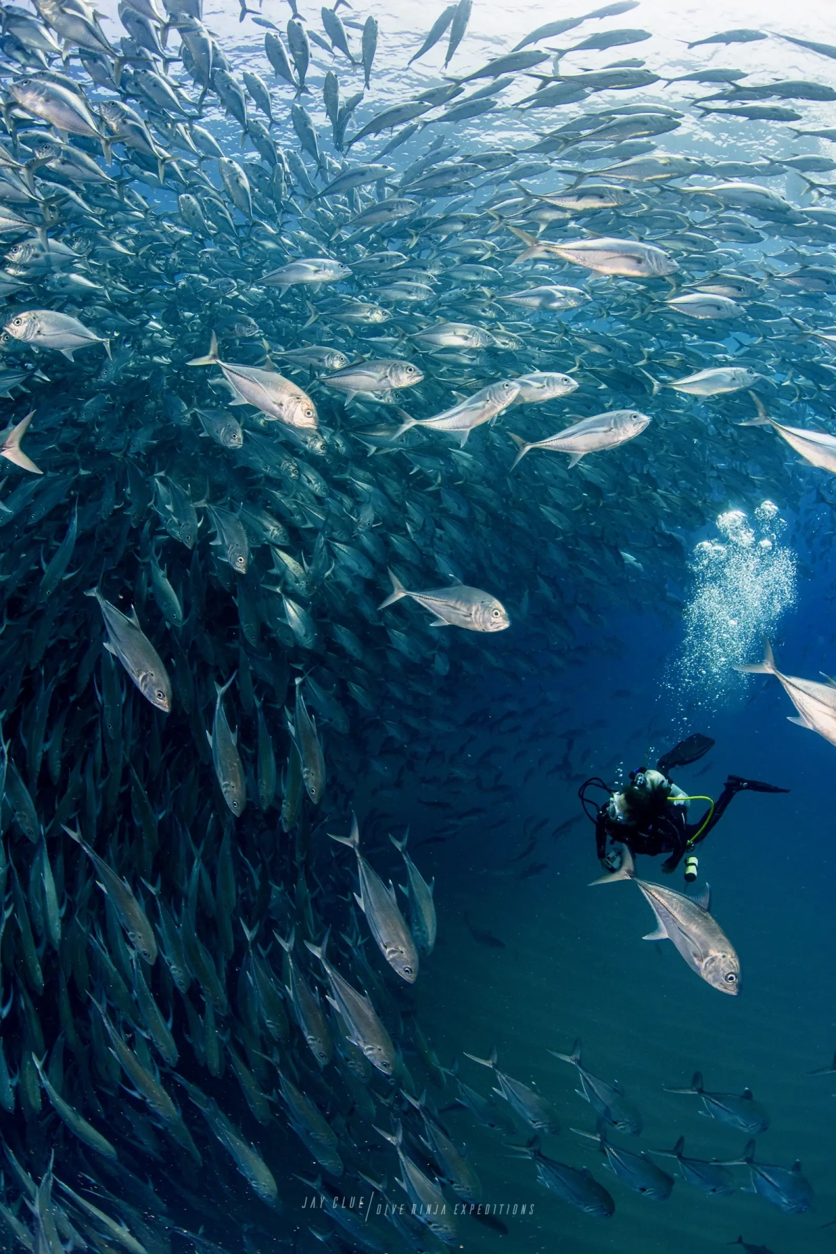 JayClue_CaboPulmo-09584-2-1200x1800-1